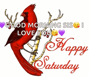 Happysaturday Cardinial GIF