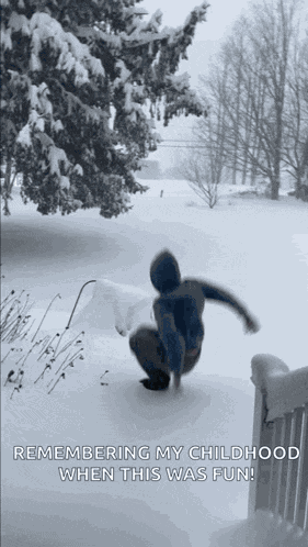 Happysnowday Funny GIF