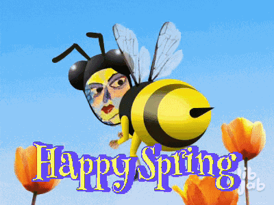 Happyspring Good Morning Happy Spring GIF