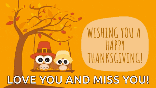 Happythanksgiving Wishingyou GIF