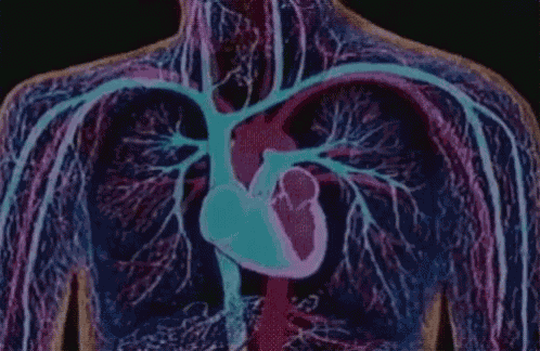 Hardcore Terrorcore GIF