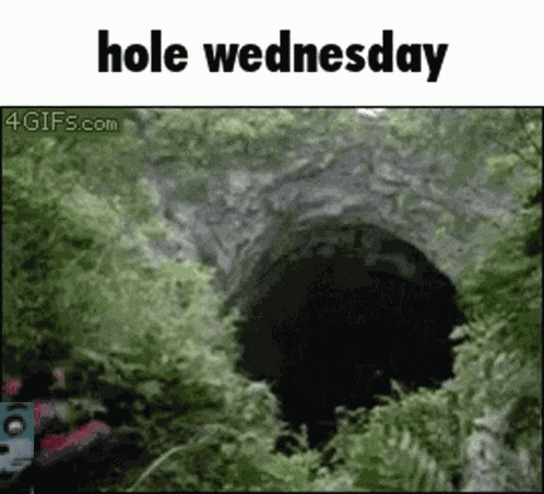 Hare Thehare GIF