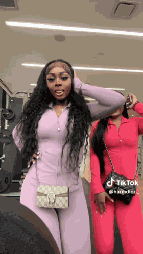 Harmdior Gymgirls GIF