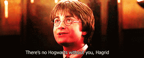 Harry Potter And The Chamber Of Secrets 2002 GIF