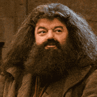 Harry Potter And The Philosopher'S Stone 2001 GIF