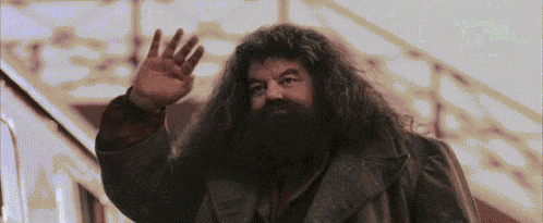 Harry Potter And The Philosophers Stone Rubeus Hagrid GIF