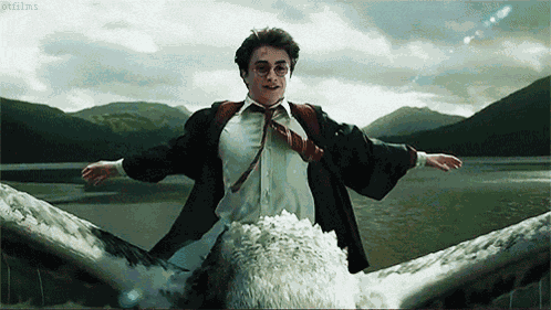 Harry Potter GIF