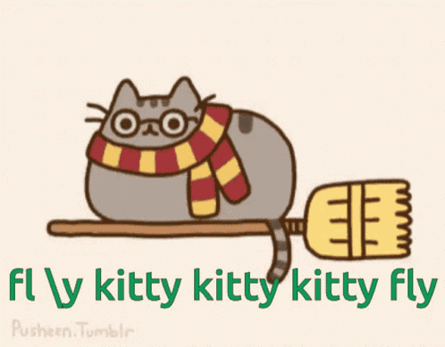 Harry Potter Cat GIF