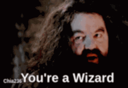 Harry Potter GIF