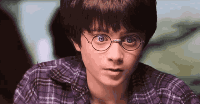 Harry Potter Daniel GIF