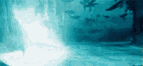 Harry Potter Daniel Radcliffe GIF