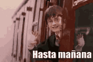 Harry Potter Despedida Adiós Tren Hasta Mañana GIF