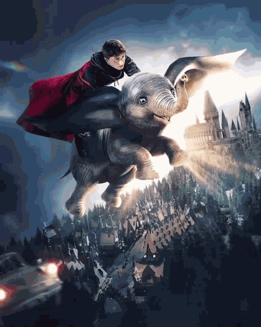 Harry Potter Dumbo GIF