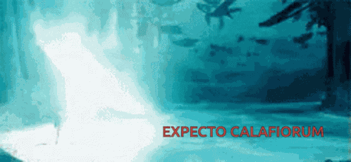Harry Potter GIF