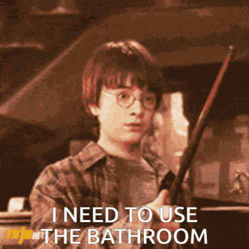 Harry Potter Harry Potter Memes GIF