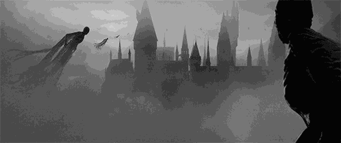 Harry Potter GIF