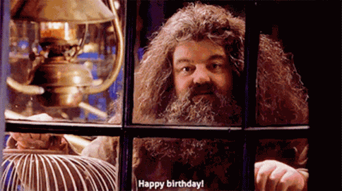 Harry Potter Rubeus Hagrid GIF