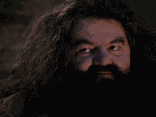 Harry Potter Sorcerers Stone GIF