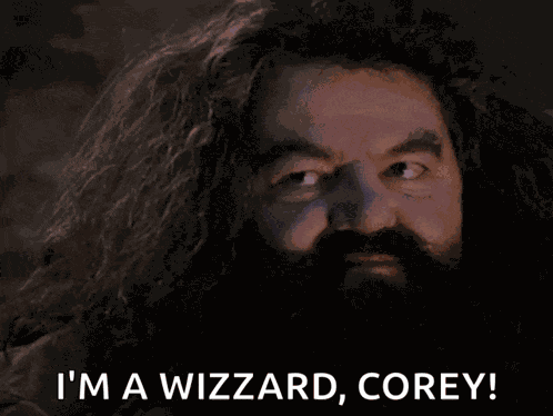 Harry Potter Sorcerers Stone GIF