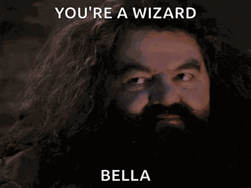 Harry Potter Sorcerers Stone GIF