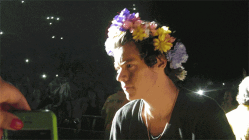 Harry Styles Harry Styles Flower Crown GIF