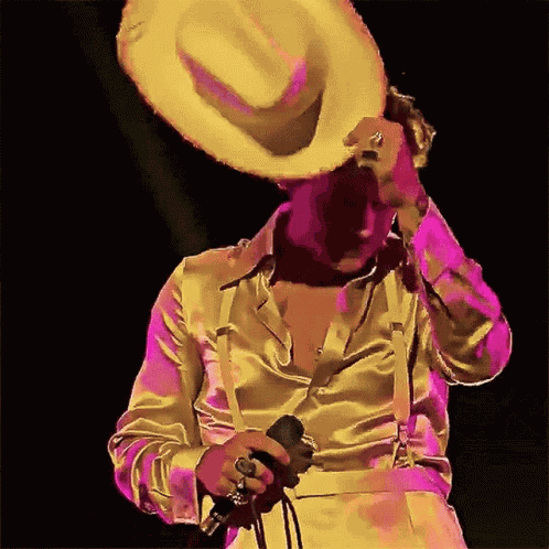 Harry Styles GIF