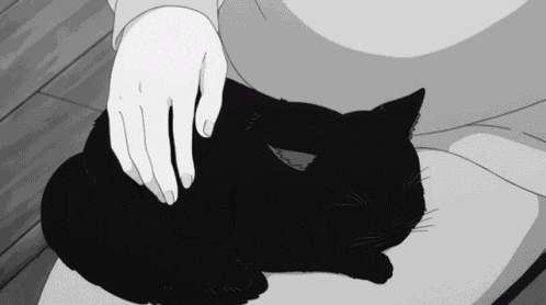 Harung Cat GIF