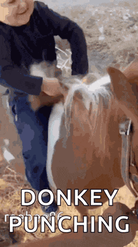 Hasbulla Hasbik GIF