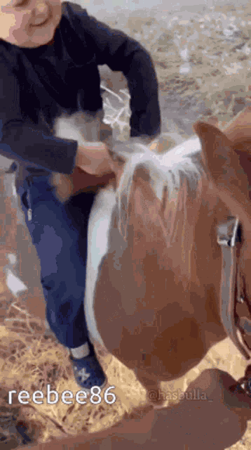 Hasbulla Hasbik GIF