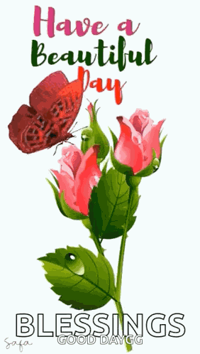 Have A Beautiful Day Butterfly GIF