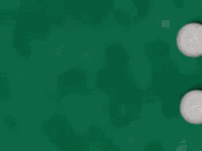 Have A Good Day GIF