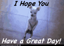 Have A Great Day Cute GIF