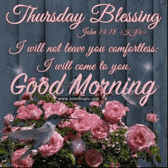 Have A Great Day Meme