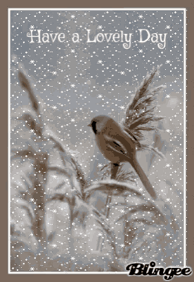 Have A Lovely Day GIF