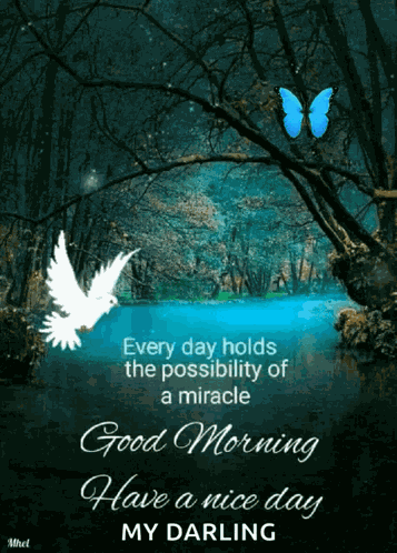 Have A Nice Day Christmas Cheer GIF