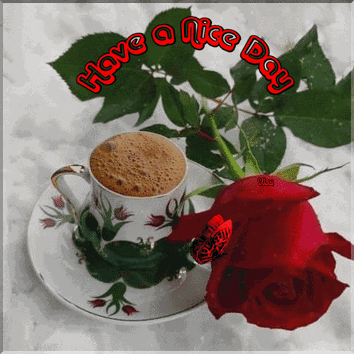 Have A Nice Day GIF