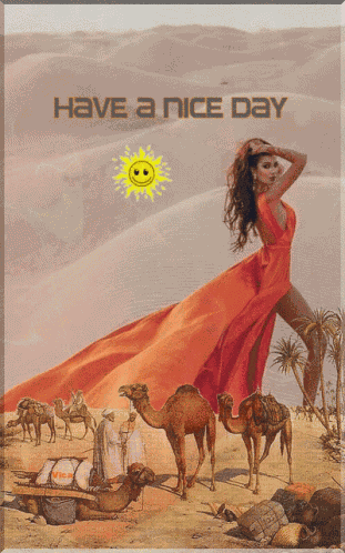 Have A Nice Day GIF