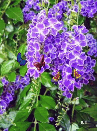 Have A Wonderful Day Nature GIF