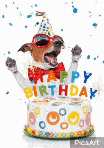 Have Happy GIF