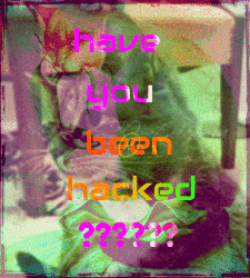 Have You Been Hacked Vec50hacked GIF