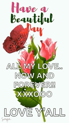 Haveabeautifulday Butterfly GIF