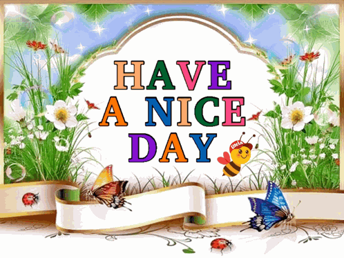 Haveaniceday Have A Nice Day GIF