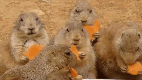 Having A Snack GIF
