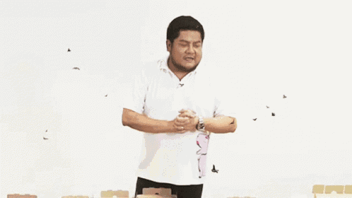 Hawaiian ฮาวาเอียน GIF