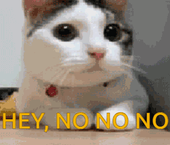 Hayir No GIF
