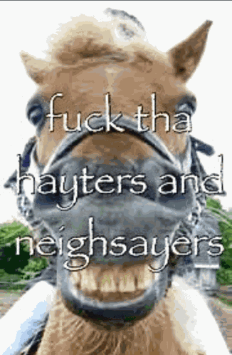Hayters Neighsayers Meme