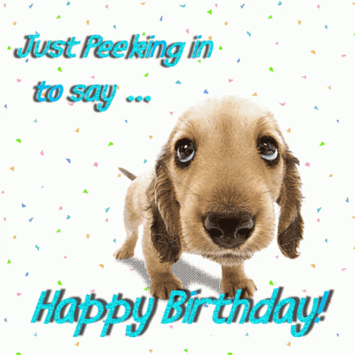 Hbd Dog GIF
