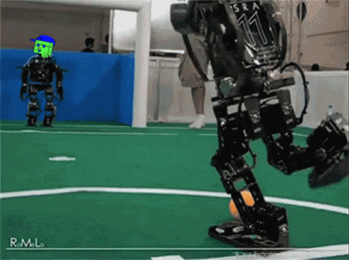 Hbots Hederanft GIF