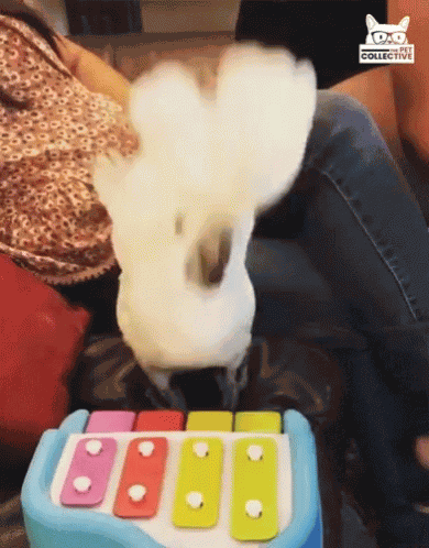 Headbob Jamming Out GIF