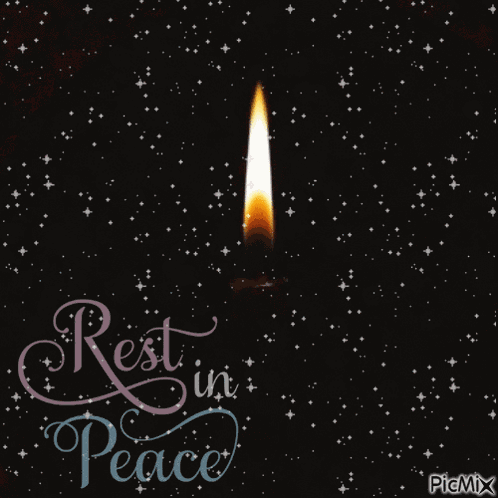 Healingpurrspawty GIF